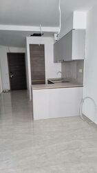 The Florence Residences (D19), Apartment #497095291